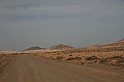 Kanary_2010 204